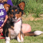 Myko update!