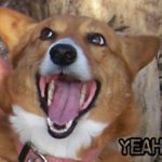 TGIF Cam:  Penni!