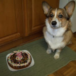 Birthday Cam:  Brodie!