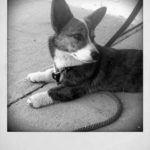 Cardi Cam:  Evi!