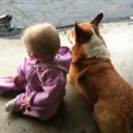 Kids n’ Corgis Cam!