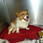 Trigger Update:  Look who’s WALKING!!