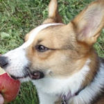 Bella update!