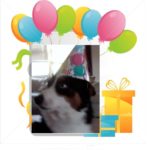 Birthday Cam:  Brody C.!