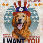 Dog Bless You — your “like” can help get a veteran a service dog!