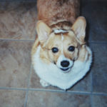 Smile Cam:  Sir Darbert Westley Spencer!