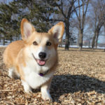 Baxter of Minnesota