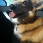 Baxter Update:  Three cool things!