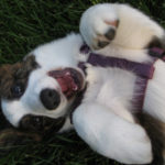 Preview Cam:  LuLu!
