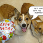 Happy Birthday Tank!