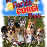 Frappin’ Fun in the Sun:  The 2011 Florida Corgi Picnic!