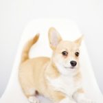 So you think you can BLOG, eh?