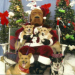 Smiles for SANTA PAWS!