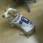 Super Bowl Fan Cam!
