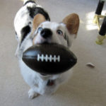 Send me your Superbowl Sunday pics!