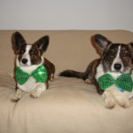 Happy St. Paddy’s Day!