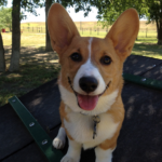 Saturday Smiler:  Cecil!