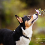 Franklin and the Photo Contest!