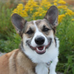 Saturday Smiler:  Beau Geste!