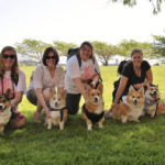 Team Low Rider Does the Doggie Dash!