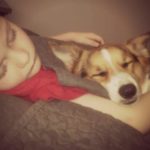 The Daily Corgi’s Going On a Little Break …