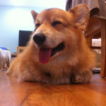 Saturday Smiler:  Jasper Islington!