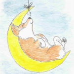 Mark your calendar: The So Cal Corgi Picnic!