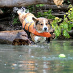 Cooper Bean the Diving Machine!
