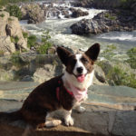Sunday Special Feature:  Happy Birthday Dora!