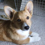 Maggie: Do You Believe in Happy Endings? GOOD NEWS UPDATE!