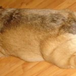 Tsula and the Sunday Sleepies!