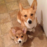Wayback Wednesday: Erk and Harold!
