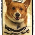 Call for Entries: 2012 Daily Corgi Howl-O-Ween Costume Contest!
