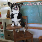 Saturday Smiler: Schooner!