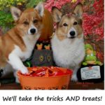 The 2012 Howl-O-Ween Costume Contest (Voting is closed).