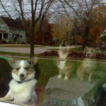 You oughtta be in pictures …