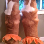 Butt Cam: Tutus Edition!