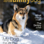 The Daily Corgi Makes the AKC Family Dog Magazine!