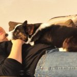 Real Men Love Corgis: Sunday Afternoon Edition!