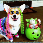 2012 Howl-O-Ween Costume Contest WINNERS!