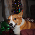 Not a Creature Was Stirring …