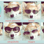 Corgireotypes!
