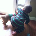 Kids n’ Corgis: Einstein Fawkes!