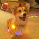 Holiday Photos: Week Two!