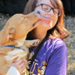 Catching Up with CorgiPals: Goal Busters