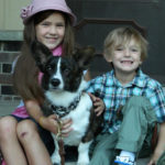 Lost Corgi Alert: Dash of Wisconsin / Good News Update!