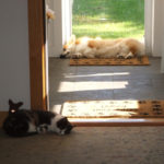 Sunday Schooozling: Fergus!