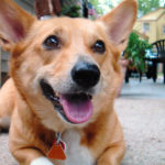 Saturday Smiler: Lita!