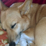 Sweet Dreams Riley!