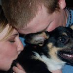 Ducky: With This Corgi, I Thee Propose!